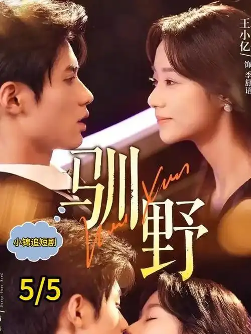 与凤行 仙侠剧手机电影网